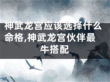 神武龙宫应该选择什么命格,神武龙宫伙伴最牛搭配