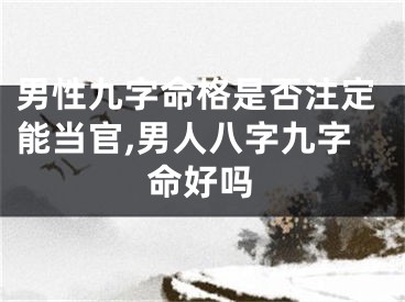 男性九字命格是否注定能当官,男人八字九字命好吗