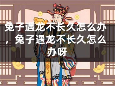 兔子遇龙不长久怎么办，兔子遇龙不长久怎么办呀