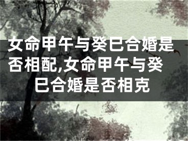 女命甲午与癸巳合婚是否相配,女命甲午与癸巳合婚是否相克