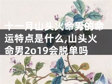 十一月山头火命男的命运特点是什么,山头火命男2o19会脱单吗