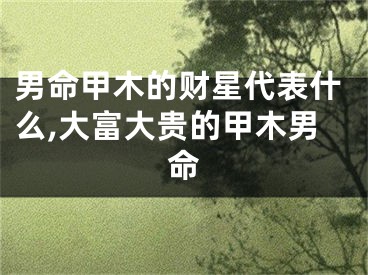 男命甲木的财星代表什么,大富大贵的甲木男命