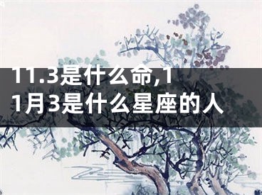 11.3是什么命,11月3是什么星座的人