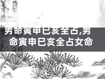 男命寅申巳亥全占,男命寅申巳亥全占女命