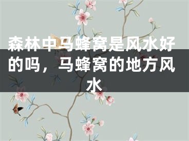 森林中马蜂窝是风水好的吗，马蜂窝的地方风水