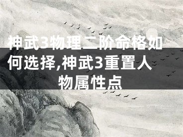 神武3物理二阶命格如何选择,神武3重置人物属性点