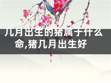 几月出生的猪属于什么命,猪几月出生好