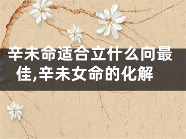 辛未命适合立什么向最佳,辛未女命的化解