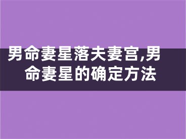 男命妻星落夫妻宫,男命妻星的确定方法