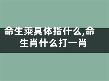 命生乘具体指什么,命生肖什么打一肖