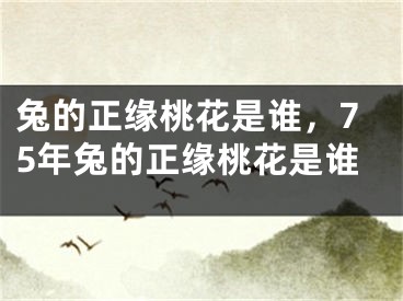 兔的正缘桃花是谁，75年兔的正缘桃花是谁