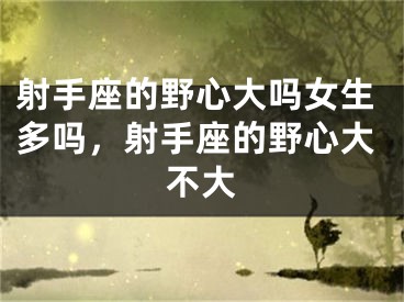 射手座的野心大吗女生多吗，射手座的野心大不大