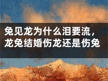 兔见龙为什么泪要流，龙兔结婚伤龙还是伤兔
