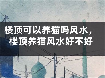 楼顶可以养猫吗风水，楼顶养猫风水好不好