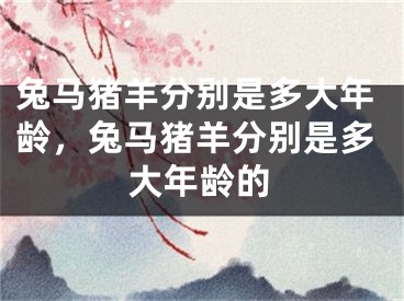兔马猪羊分别是多大年龄,兔马猪羊分别是多大年龄的