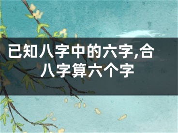 已知八字中的六字,合八字算六个字