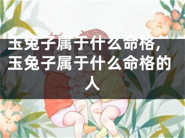 玉兔子属于什么命格,玉兔子属于什么命格的人