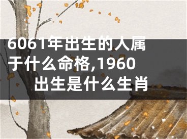 6061年出生的人属于什么命格,1960出生是什么生肖