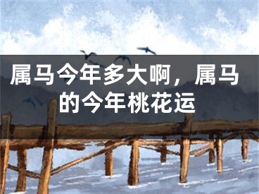 属马今年多大啊，属马的今年桃花运