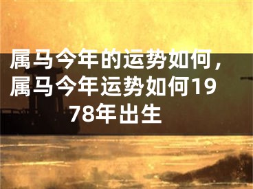 属马今年的运势如何，属马今年运势如何1978年出生
