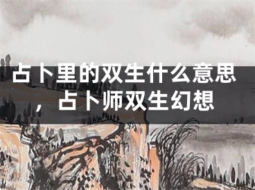 占卜里的双生什么意思,占卜师双生幻想