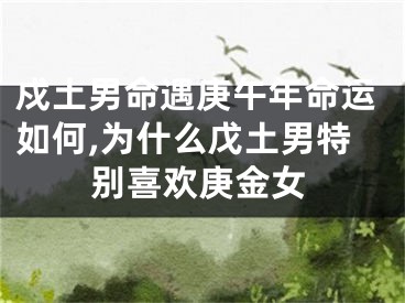 戍土男命遇庚午年命运如何,为什么戊土男特别喜欢庚金女