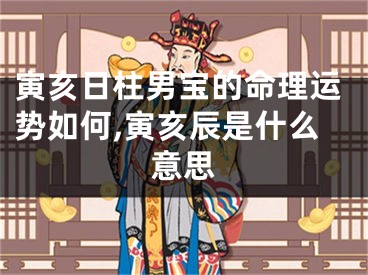 寅亥日柱男宝的命理运势如何,寅亥辰是什么意思