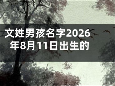 文姓男孩名字2026年8月11日出生的