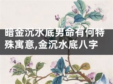 暗金沉水底男命有何特殊寓意,金沉水底八字