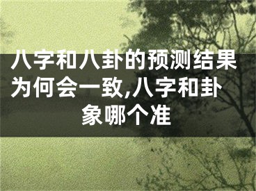 八字和八卦的预测结果为何会一致,八字和卦象哪个准