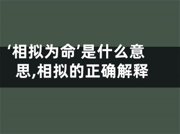 ‘相拟为命’是什么意思,相拟的正确解释