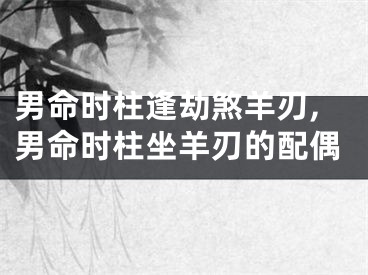男命时柱逢劫煞羊刃,男命时柱坐羊刃的配偶