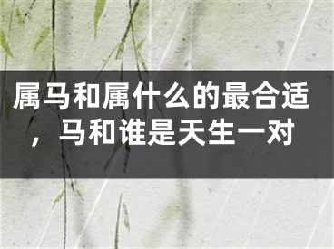 属马和属什么的最合适，马和谁是天生一对