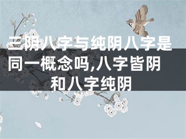 三阴八字与纯阴八字是同一概念吗,八字皆阴和八字纯阴