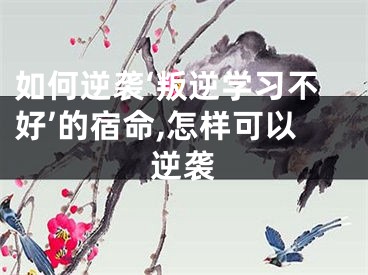 如何逆袭‘叛逆学习不好’的宿命,怎样可以逆袭