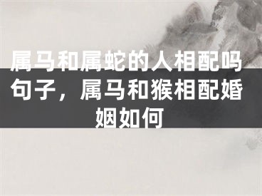属马和属蛇的人相配吗句子，属马和猴相配婚姻如何