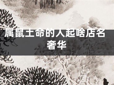 属鼠土命的人起啥店名奢华