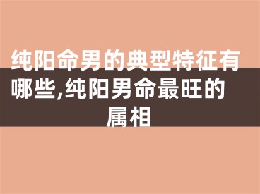 纯阳命男的典型特征有哪些,纯阳男命最旺的属相