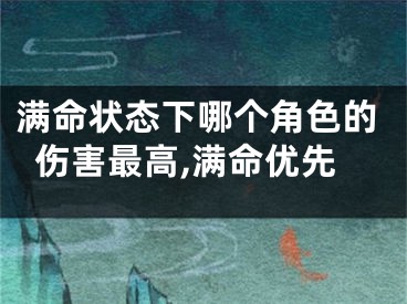 满命状态下哪个角色的伤害最高,满命优先