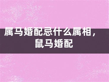 属马婚配忌什么属相，鼠马婚配