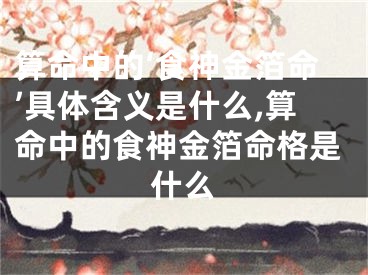 算命中的‘食神金箔命’具体含义是什么,算命中的食神金箔命格是什么