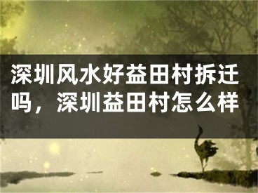 深圳风水好益田村拆迁吗，深圳益田村怎么样