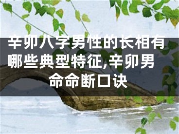 辛卯八字男性的长相有哪些典型特征,辛卯男命命断口诀