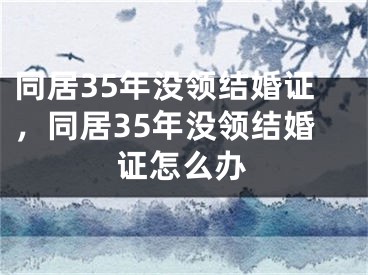 同居35年没领结婚证，同居35年没领结婚证怎么办