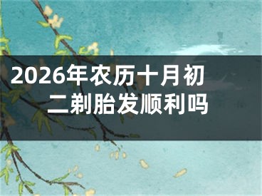 2026年农历十月初二剃胎发顺利吗