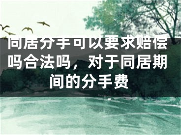 同居分手可以要求赔偿吗合法吗，对于同居期间的分手费