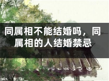 同属相不能结婚吗，同属相的人结婚禁忌