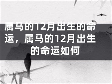 属马的12月出生的命运，属马的12月出生的命运如何