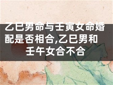 乙巳男命与壬寅女命婚配是否相合,乙巳男和壬午女合不合