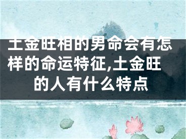 土金旺相的男命会有怎样的命运特征,土金旺的人有什么特点
